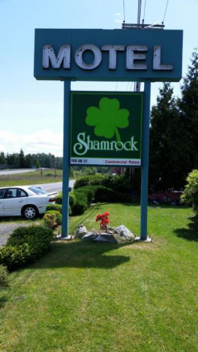 Отель Shamrock Motel  Беллингхэм